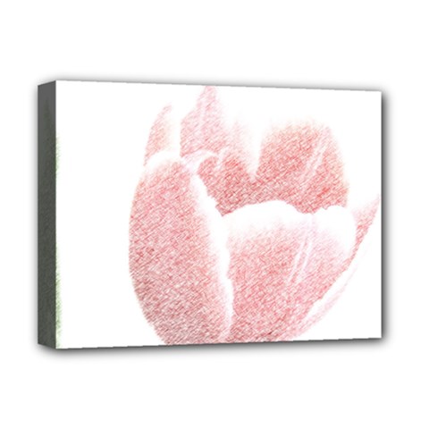 Tulip Red White Pencil Drawing Deluxe Canvas 16  X 12  (stretched)  by picsaspassion