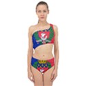 Flag of Paris  Spliced Up Two Piece Swimsuit View1