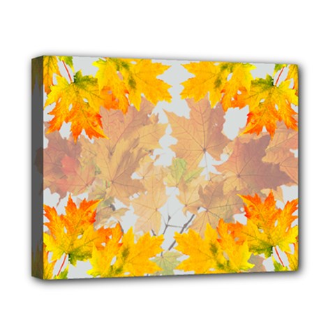 Autumn Maple Leaves, Floral Art Canvas 10  X 8  (stretched) by picsaspassion