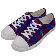 Netzauge Women s Low Top Canvas Sneakers by zappwaits