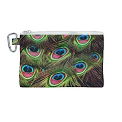 Peacock Feathers Color Plumage Canvas Cosmetic Bag (medium)