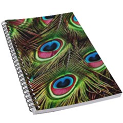 Peacock Feathers Color Plumage 5 5  X 8 5  Notebook by Celenk