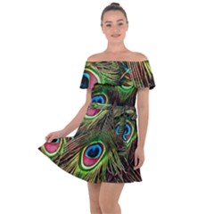 Peacock Feathers Color Plumage Off Shoulder Velour Dress by Celenk