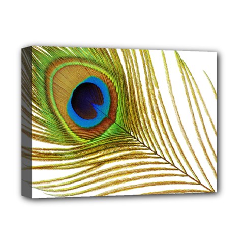 Peacock Feather Plumage Colorful Deluxe Canvas 16  X 12  (stretched) 