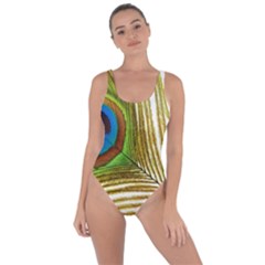 Peacock Feather Plumage Colorful Bring Sexy Back Swimsuit