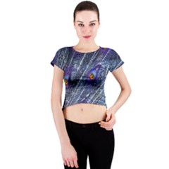 Peacock Feathers Color Plumage Blue Crew Neck Crop Top