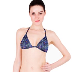 Peacock Feathers Color Plumage Blue Bikini Top