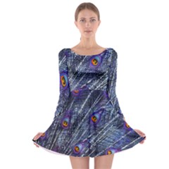 Peacock Feathers Color Plumage Blue Long Sleeve Skater Dress by Sapixe