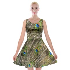 Peacock Feathers Color Plumage Green Velvet Skater Dress by Sapixe