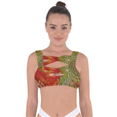 Texture Art Color Pattern Bandaged Up Bikini Top