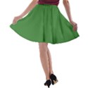 Pepe The Frog Smug face with smile and hand on chin meme Kekistan all over print green A-line Skater Skirt View2