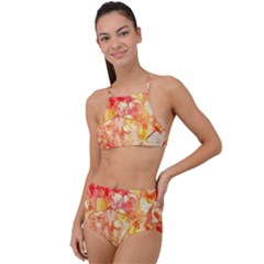 Monotype Art Pattern Leaves Colored Autumn High Waist Tankini Set