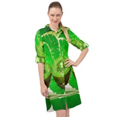 Kiwi Fruit Vitamins Healthy Cut Long Sleeve Mini Shirt Dress