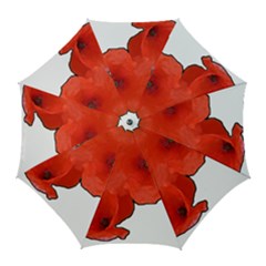 Coquelicots Fleurs Golf Umbrellas by kcreatif