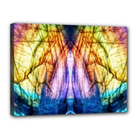 Abstract Pattern Color Colorful Canvas 16  X 12  (stretched) by Wegoenart