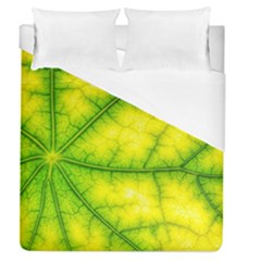 Photosynthesis Leaf Green Structure Duvet Cover (queen Size) by Wegoenart