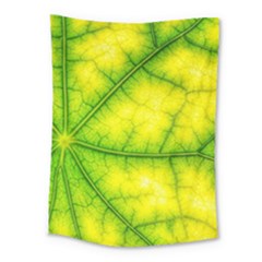 Photosynthesis Leaf Green Structure Medium Tapestry by Wegoenart