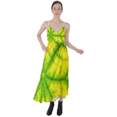 Photosynthesis Leaf Green Structure Tie Back Maxi Dress by Wegoenart