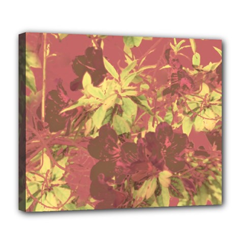 Tropical Vintage Floral Artwork Print Deluxe Canvas 24  X 20  (stretched) by dflcprintsclothing