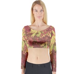 Tropical Vintage Floral Artwork Print Long Sleeve Crop Top by dflcprintsclothing