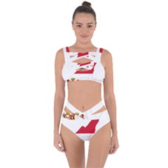 Monaco Country Europe Flag Borders Bandaged Up Bikini Set 