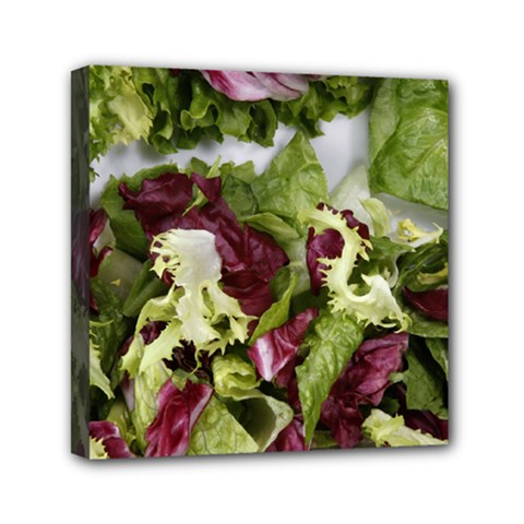 Salad Lettuce Vegetable Mini Canvas 6  X 6  (stretched) by Sapixe