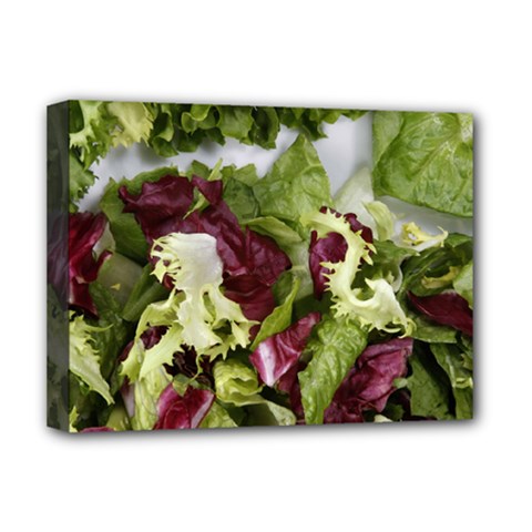 Salad Lettuce Vegetable Deluxe Canvas 16  X 12  (stretched)  by Sapixe