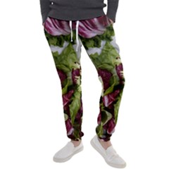 Salad Lettuce Vegetable Men s Jogger Sweatpants by Sapixe