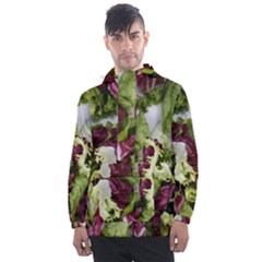 Salad Lettuce Vegetable Men s Front Pocket Pullover Windbreaker