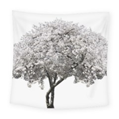 Nature Tree Blossom Bloom Cherry Square Tapestry (large)
