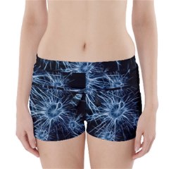 Neurons Brain Cells Structure Boyleg Bikini Wrap Bottoms