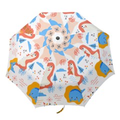 1 (1) Folding Umbrellas