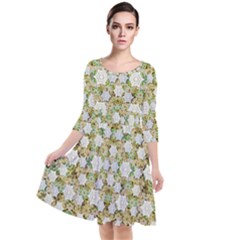 Snowflakes Slightly Snowing Down On The Flowers On Earth Quarter Sleeve Waist Band Dress