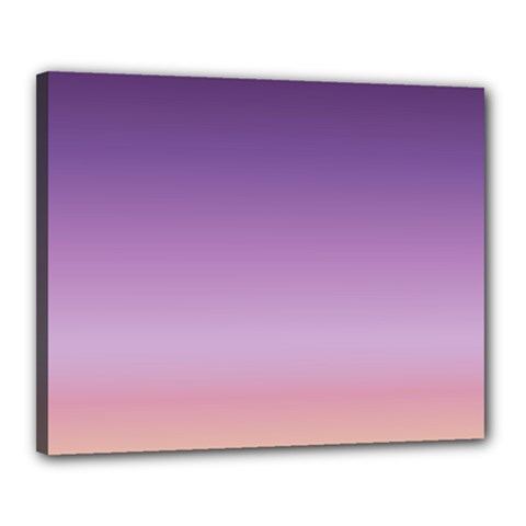 Sunset Evening Shades Canvas 20  X 16  (stretched) by designsbymallika