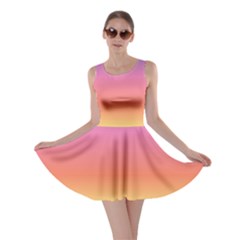 Rainbow Shades Skater Dress by designsbymallika