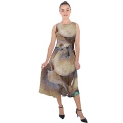 Close Up Mushroom Abstract Midi Tie-back Chiffon Dress by Fractalsandkaleidoscopes