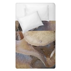 Close Up Mushroom Abstract Duvet Cover Double Side (single Size)