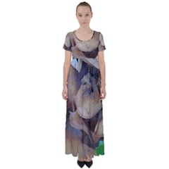 Close Up Mushroom Abstract High Waist Short Sleeve Maxi Dress by Fractalsandkaleidoscopes