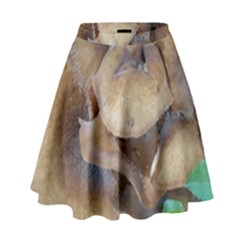 Close Up Mushroom Abstract High Waist Skirt