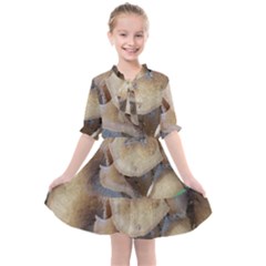 Close Up Mushroom Abstract Kids  All Frills Chiffon Dress by Fractalsandkaleidoscopes