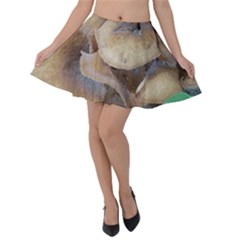 Close Up Mushroom Abstract Velvet Skater Skirt by Fractalsandkaleidoscopes