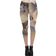 Close Up Mushroom Abstract Capri Leggings  by Fractalsandkaleidoscopes