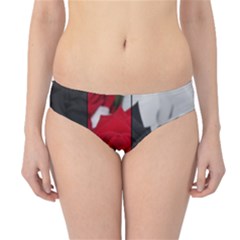 Roses Rouge Fleurs Hipster Bikini Bottoms by kcreatif