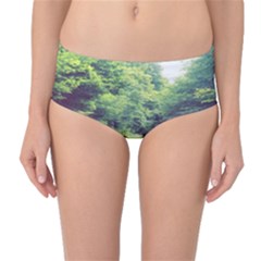 Photo Vue Sur Forêt  Mid-waist Bikini Bottoms