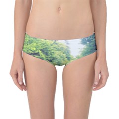 Photo Vue Sur Forêt  Classic Bikini Bottoms