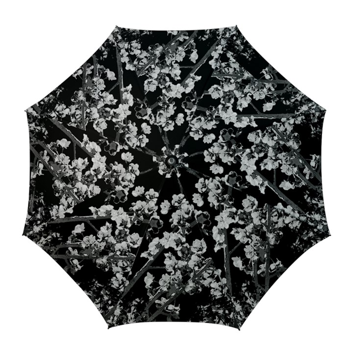 Fleurs de cerisier Noir & Blanc Golf Umbrellas