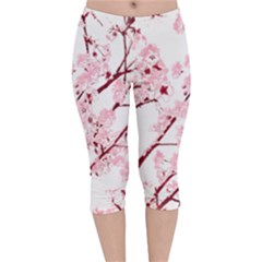 Fleurs De Cerisier Velvet Capri Leggings  by kcreatif