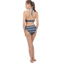 Stripey 7 Halter Side Cut Swimsuit View2