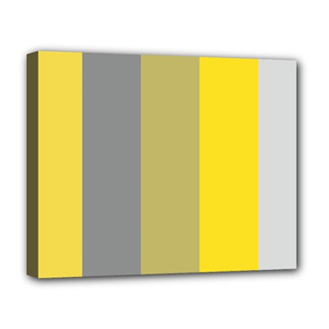 Stripey 21 Deluxe Canvas 20  X 16  (stretched) by anthromahe