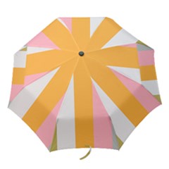 Stripey 23 Folding Umbrellas by anthromahe